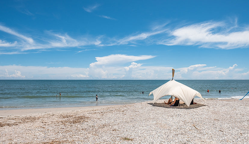 Coastal Carolinas