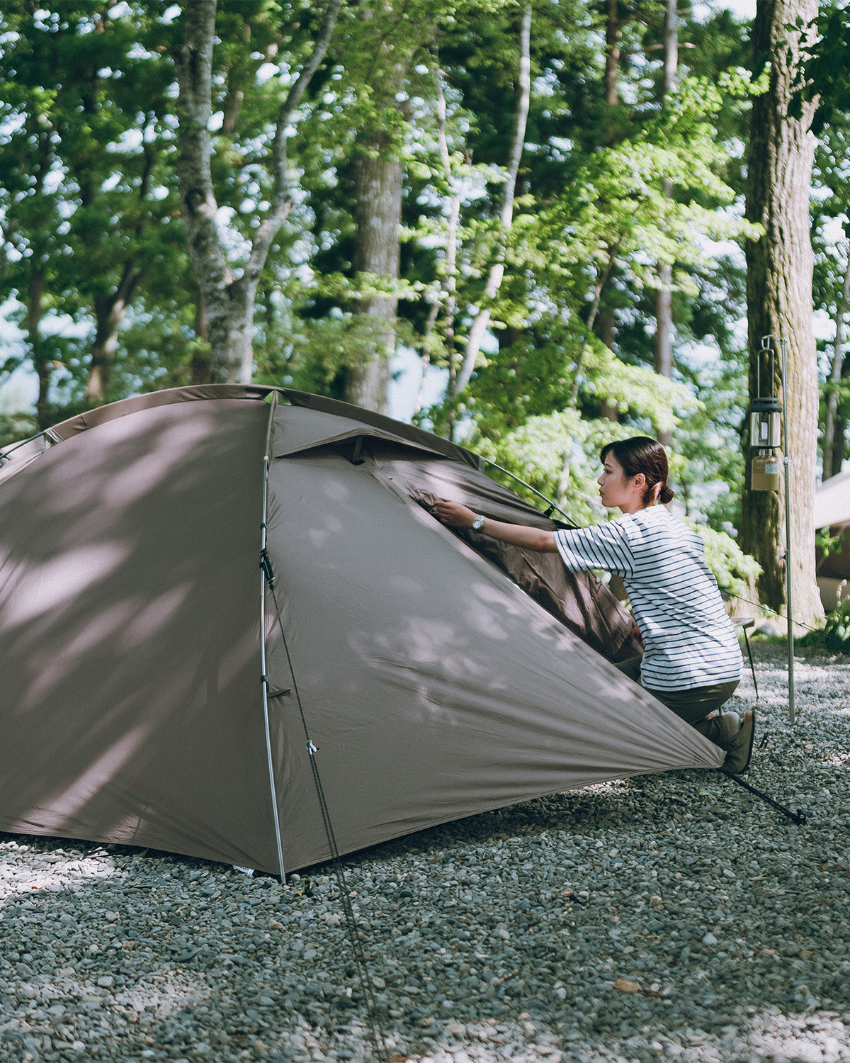 Amenity Dome 2