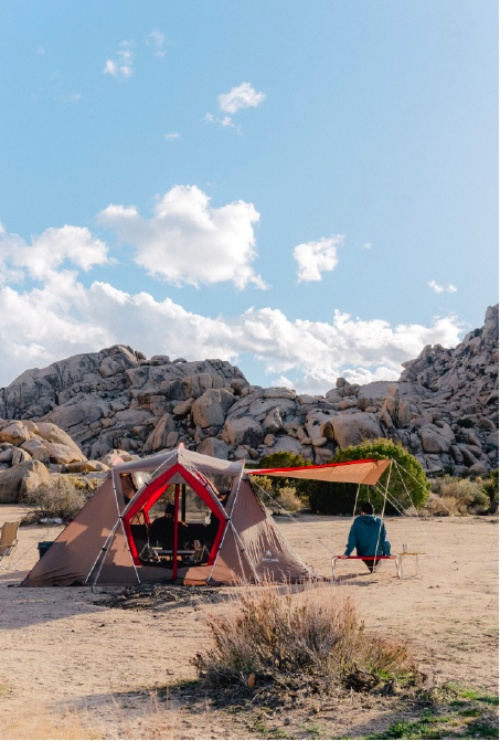 Escape to the Mojave