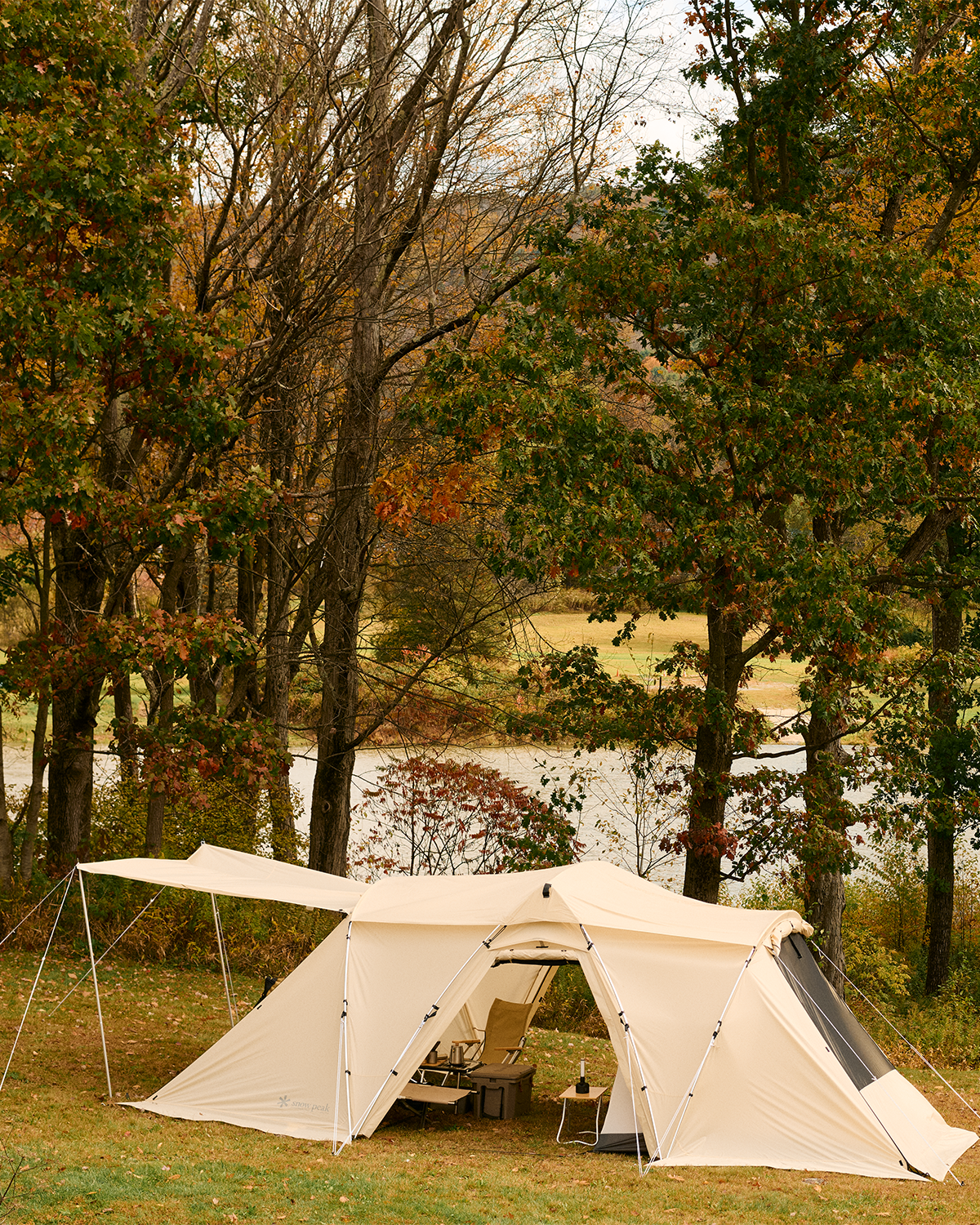 Land Nest Shelter in Ivory