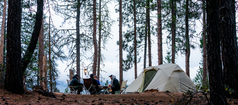 A group of people sit at a table in the woods near a tent